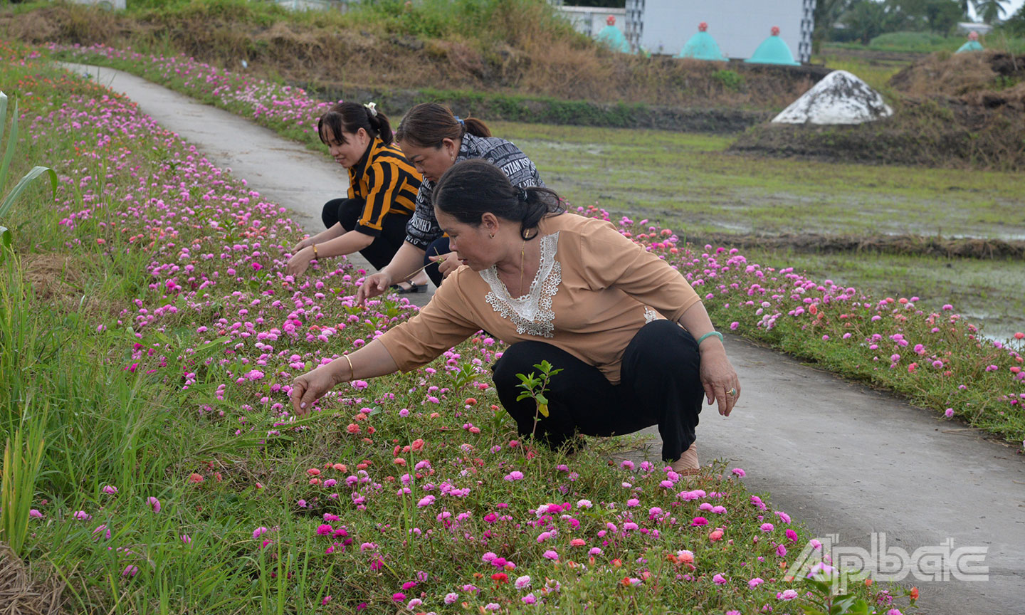 Hội viên phụ nữ và các đoàn thể xã Yên Luông cùng người dân tích cực dọn vệ sinh, trồng hoa tạo cảnh quan môi trường.