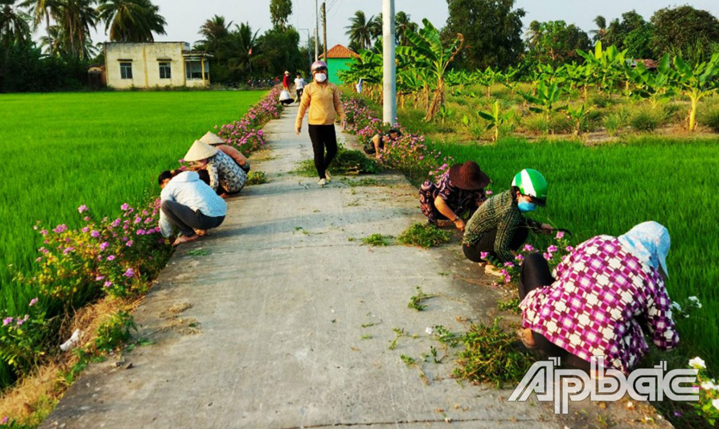 Nhiều tuyến đường giao thông được các hội, đoàn thể và người dân dọn cỏ, trồng hoa tạo cảnh quan môi trường sạch đẹp.  Ảnh T.H