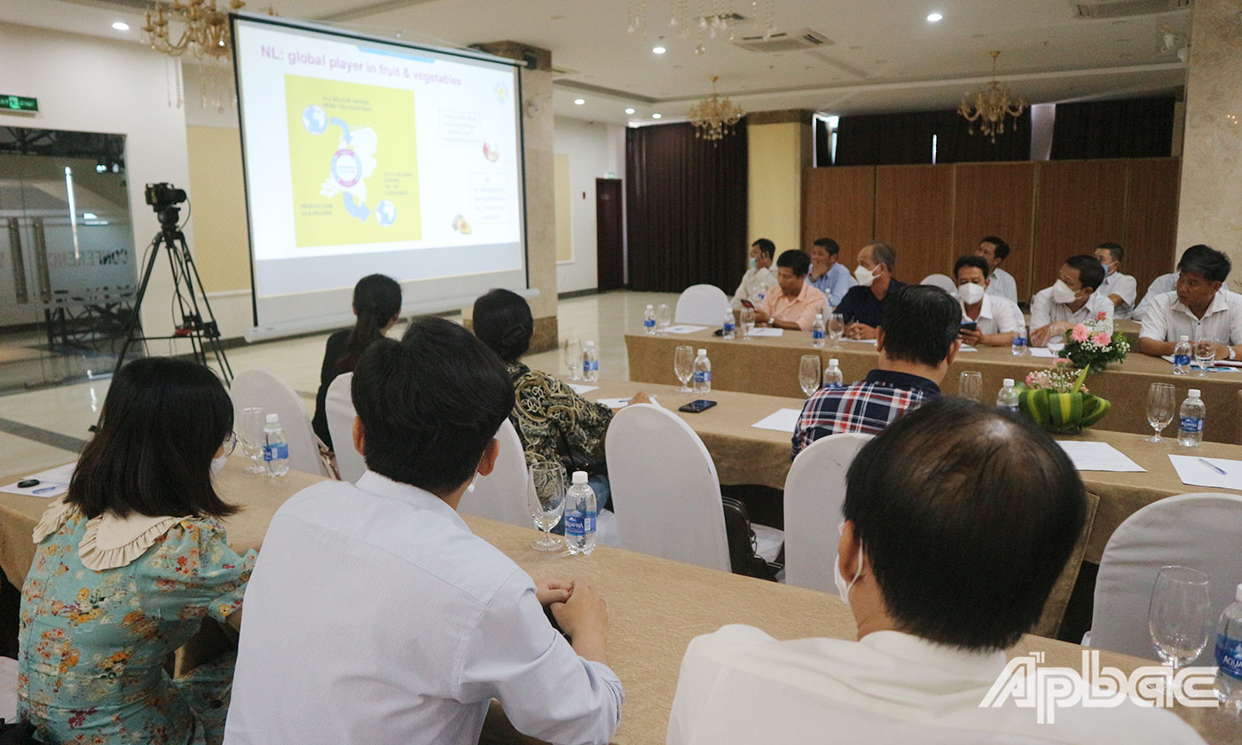 Đại biểu lắng nghe các chuyên gia giới thiệu tổng quan thị trường sản phẩm dứa tại Châu Âu