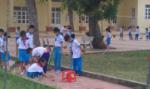 Đừng bảo bọc, hãy để con lớn khôn!