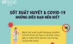Cách phân biệt sốt xuất huyết và COVID-19