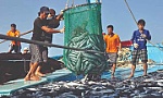 Ngăn chặn, giảm thiểu và loại bỏ khai thác IUU, gỡ cảnh báo 