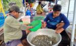 Nhộn nhịp mưu sinh mùa lũ