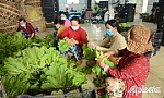 Mở rộng sản xuất, ổn định đầu ra