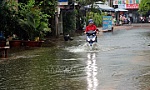 Các tỉnh, thành phố chủ động chỉ đạo phòng ngừa, ứng phó thiên tai