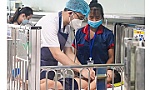 Hơn 300 trẻ nhập viện, 6 ca tử vong do virus Adeno, Bộ Y tế yêu cầu tăng cường giám sát, không để bùng dịch