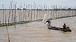 ĐBSCL: Cần liên kết kích hoạt khả năng thích ứng, phục hồi để phát triển