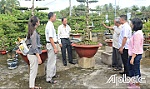 Sở hữu trí tuệ: Góp phần nâng sức cạnh tranh, giá trị sản phẩm