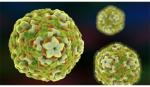 Mỹ cảnh báo loại virus có thể gây liệt ở trẻ em