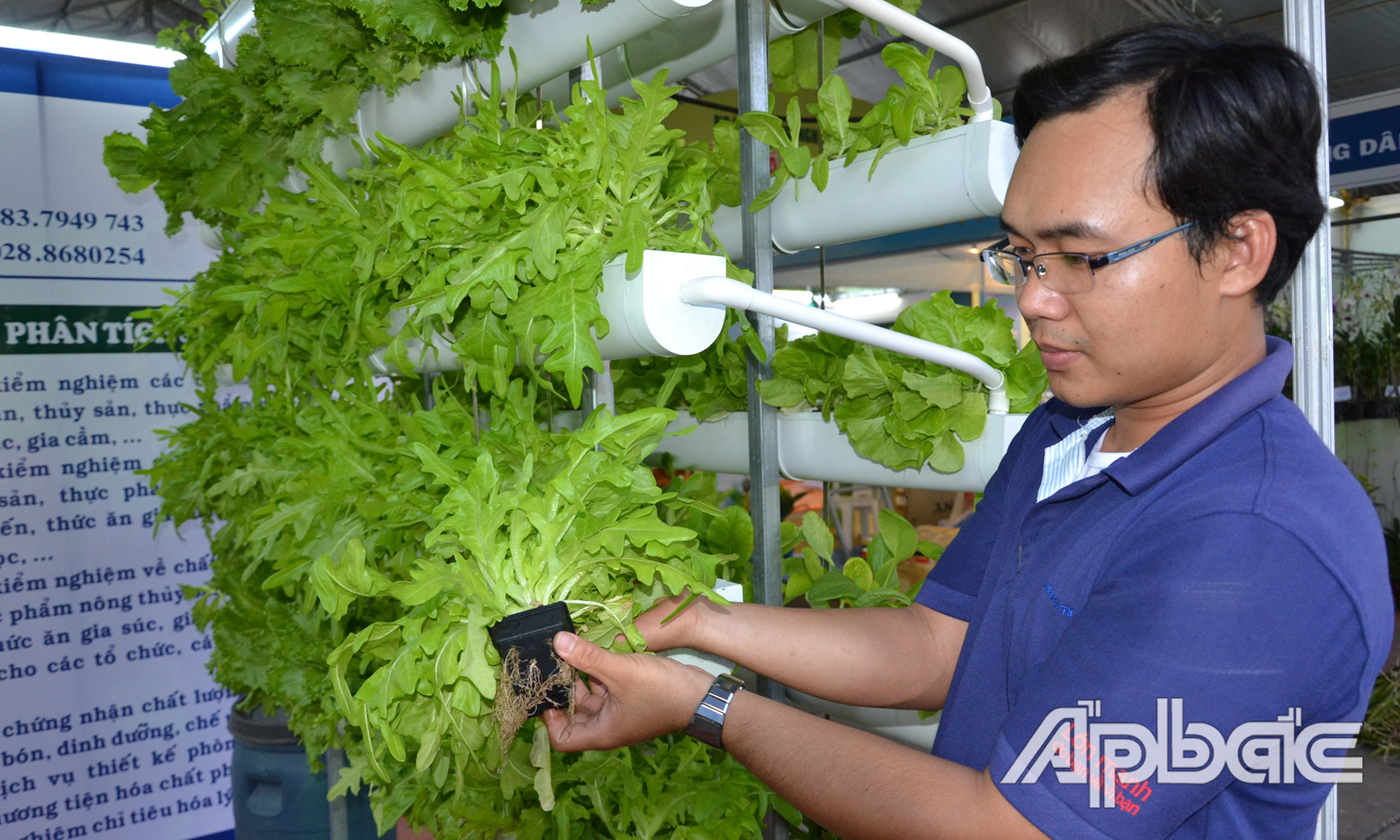 Sản xuất nông nghiệp đang được đẩy mạnh ứng dụng công nghệ cao.