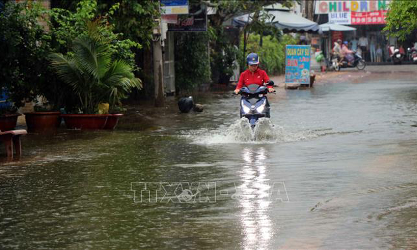 Nhiều tuyến đường tại thành phố Cà Mau bị 