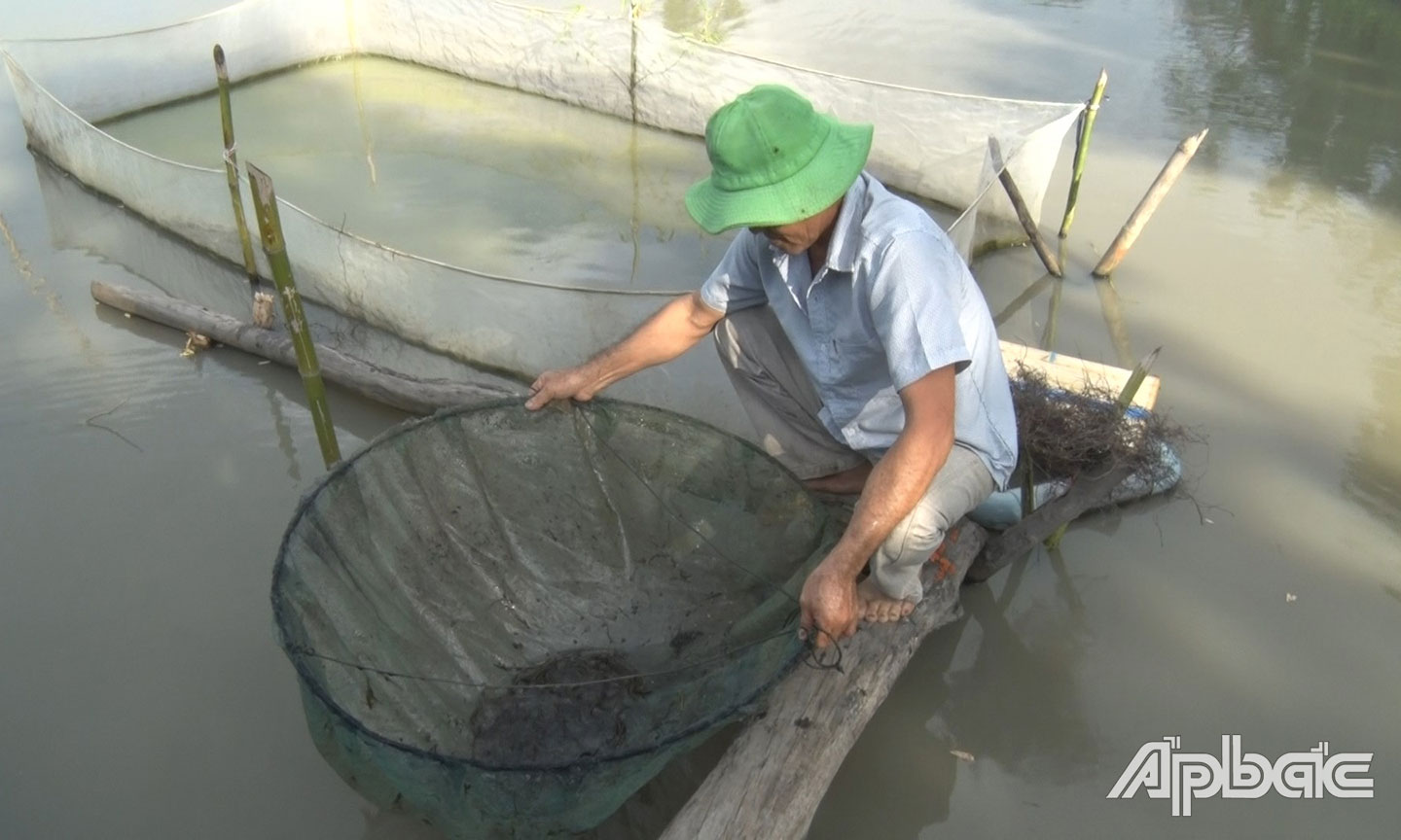 Mô hình  Nuôi cá chạch lấu tại xã Mỹ Hạnh Trung.