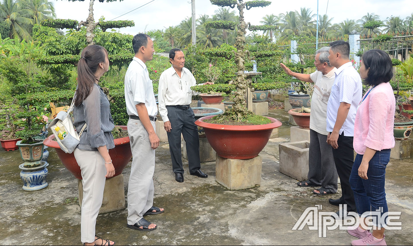 NHCN mai chiếu thủy nu Gò Công từng bước phát huy hiệu quả.