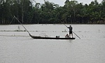 Lũ đầu nguồn sông Cửu Long đang lên, nguy cơ cao ngập lụt nhiều địa phương