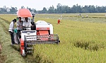Thúc đẩy phát triển các ngành hàng nông sản bằng cơ giới hóa