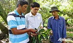 Đổi thay trên quê hương Chiến thắng Ba Rài