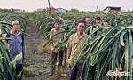 Tiên phong gương mẫu trong xây dựng nông thôn mới