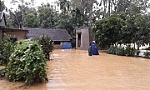 Chủ động ứng phó lũ kết hợp triều cường, sạt lở trên sông Cửu Long