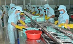 Tiền Giang: Kim ngạch xuất khẩu tăng cao