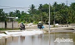 Tiến độ Dự án Cầu Rạch Miễu 2 vẫn còn chậm