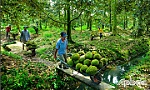Nông dân huyện Cai Lậy: Kỳ vọng từ xuất khẩu sầu riêng chính ngạch