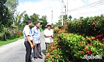 Huyện Cai Lậy: Nét đẹp văn hóa những tuyến đường hoa, hàng rào cây xanh