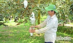 BÀI 2: Tháo gỡ các 