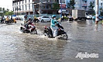 Một số tuyến đường ở TP. Mỹ Tho bị ngập do triều cường
