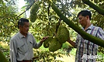Bài cuối: Đi trên con đường chính ngạch