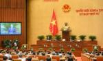 Sửa đổi Luật Đất đai để tạo điều kiện cho sản xuất nông nghiệp quy mô lớn