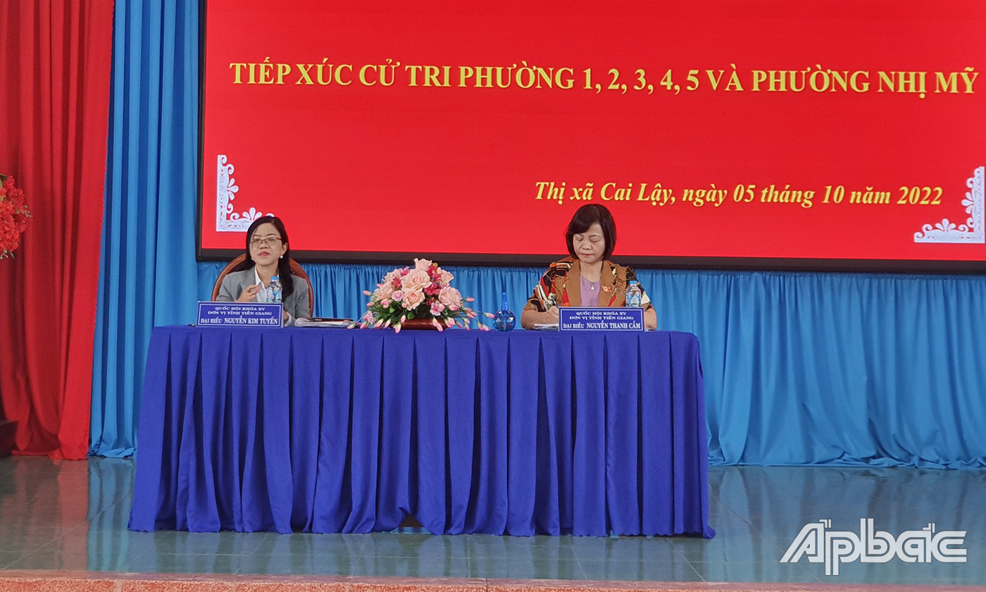 Cử tri TX. Cai Lậy phát biểu ý kiến