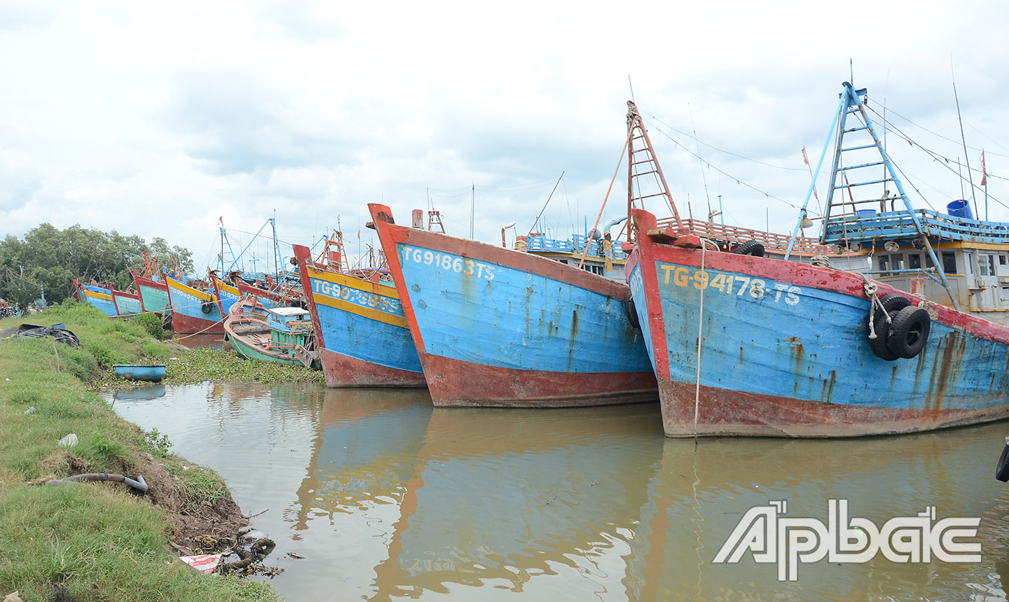 Các tàu, thuyền tuân thủ việc lắp đặt thiết bị  giám sát hành trình.