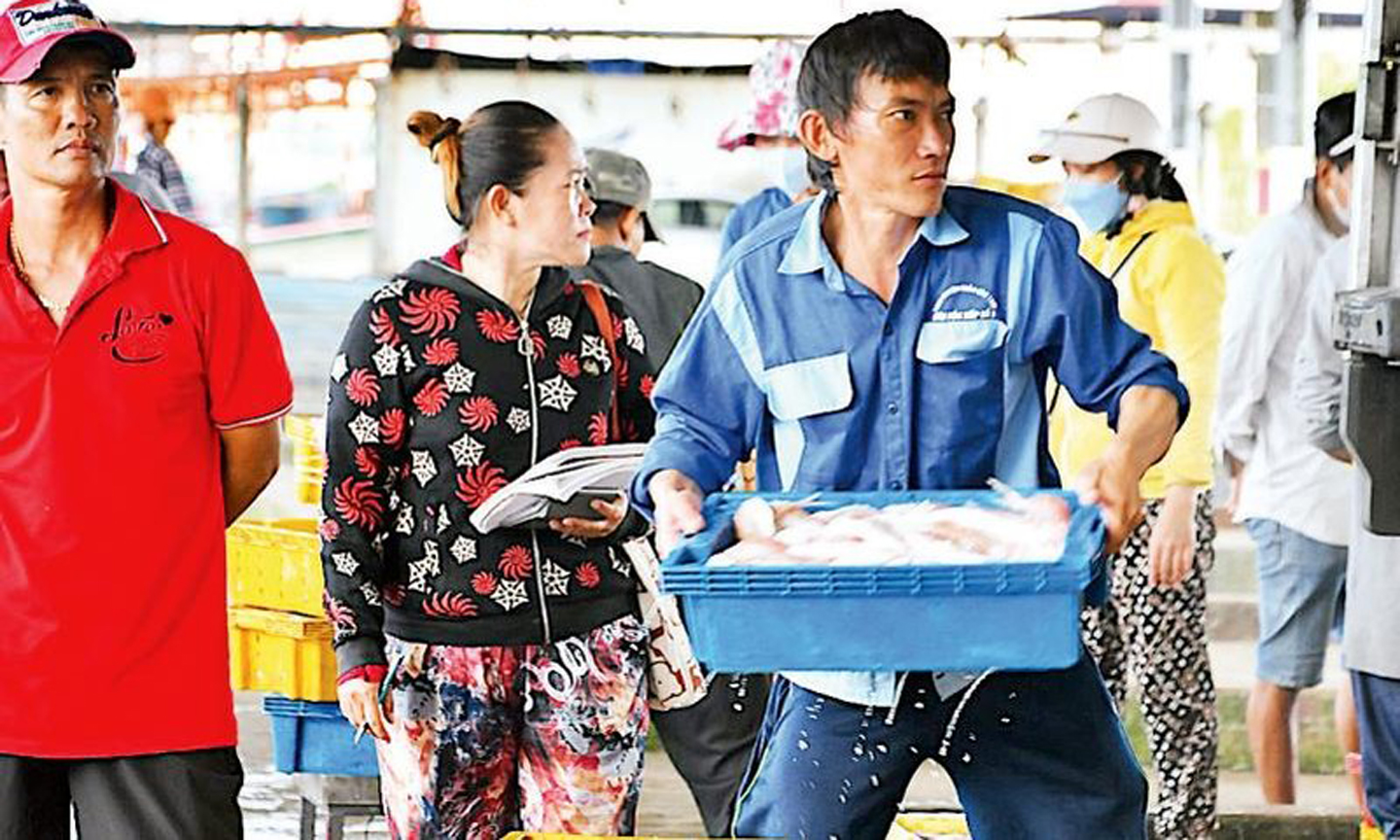 Phần lớn hải sản sau khai thác ở biển Cà Mau đều qua cảng, được kiểm soát chặt về truy xuất nguồn gốc.