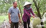 Câu chuyện 
