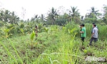 Những người dân dũng cảm truy bắt tội phạm