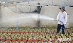 Bài 1: Tất bật bên vườn hoa