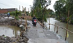 ĐBSCL chạy đua chống sạt lở