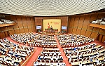 Không nóng vội thông qua luật, không làm luật cho xong