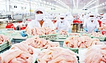 Xuất khẩu cá tra tăng trưởng mạnh mẽ
