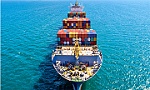 Long Hưng Phát chia sẻ những lưu ý khi gửi hàng đi Mỹ bằng đường biển