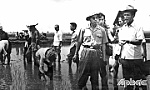 Nhà lãnh đạo tài năng, 