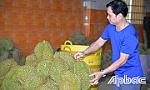 Tiền Giang: Sầu riêng mang lại nguồn thu cao nhất