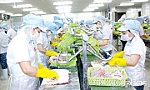Tiền Giang: Hầu hết mục tiêu, chỉ tiêu kế hoạch năm 2022 đều đạt và vượt
