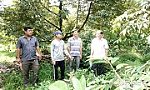 Hợp tác xã Cẩm Sơn: Chuyển đổi để phát triển bền vững