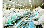 ĐBSCL: Tăng tốc xuất khẩu, tạo dấu mốc lịch sử của ngành thủy sản