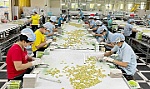 Nhân rộng cơ hội tiêu thụ sản phẩm OCOP