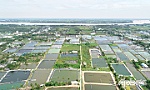 Tạo sức bật mới cho khu vực phía Đông của tỉnh Tiền Giang