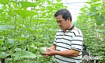 Ứng dụng công nghệ cao vào sản xuất nông nghiệp