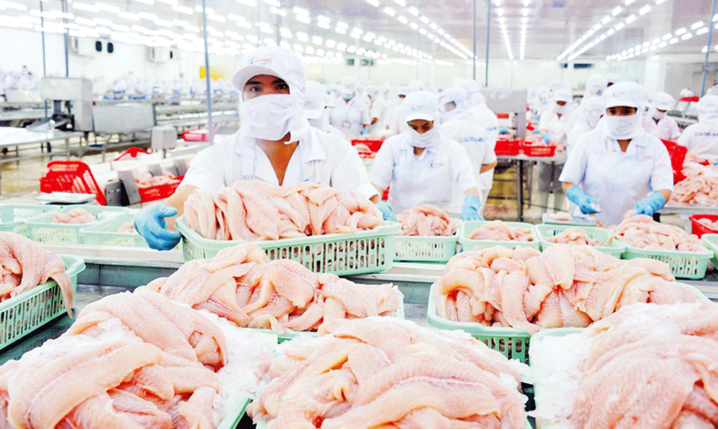 Chế biến cá tra tại doanh nghiệp IDI, Tập đoàn Sao Mai. (Ảnh LÊ HOÀNG VŨ) 