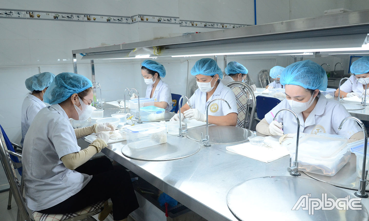 Công ty TNHH TMDV Trí Sơn sơ chế tổ yến phục vụ tết.